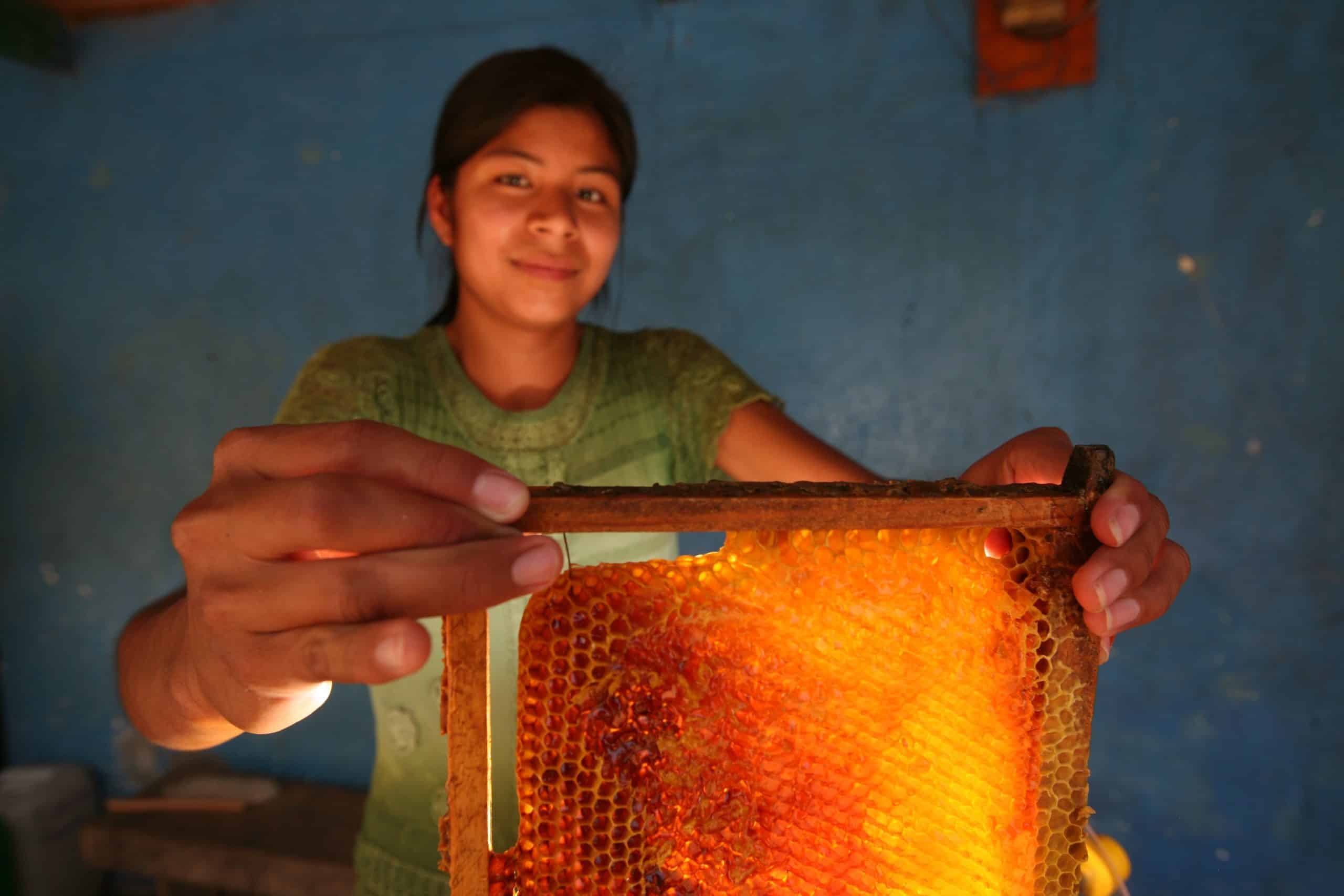 Un productor de miel de Guatemala sostiene un panal antes de introducirlo en una centrifugadora.