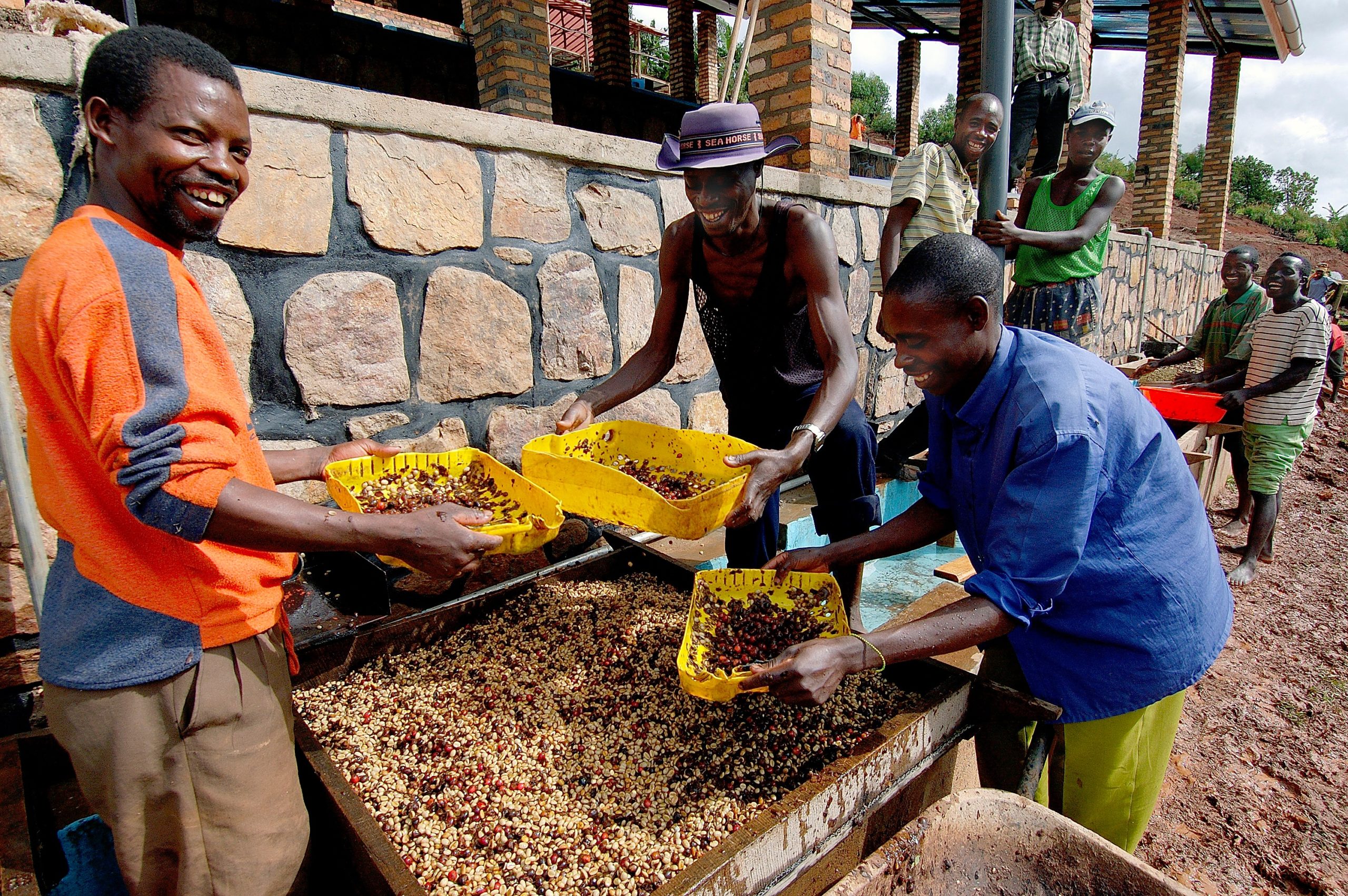 Procesando café en la Cooperativa de Maraba, Ruanda.