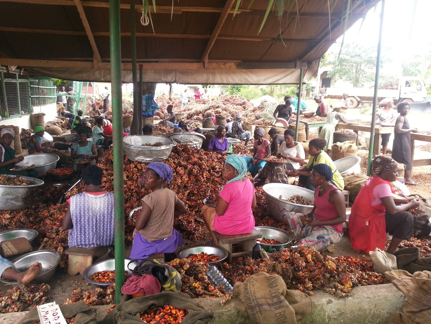 Empleados de Serendipalm