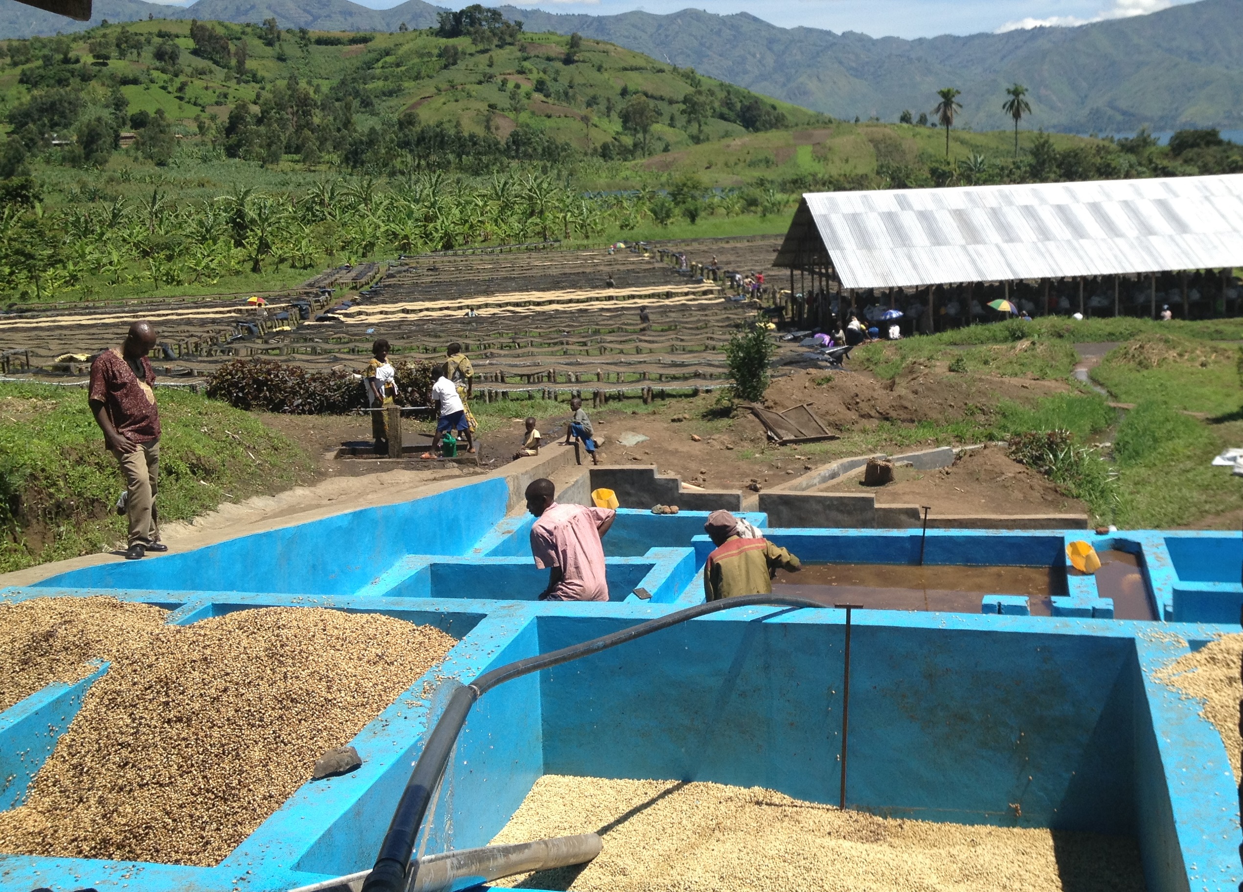 Coffee wet processing at SOPACDI