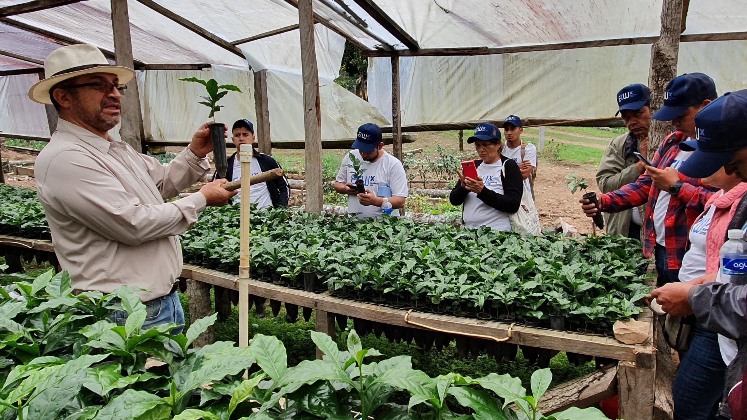 Un agrónomo sostiene una planta de café en un vivero mientras los participantes en el taller toman notas en sus teléfonos.