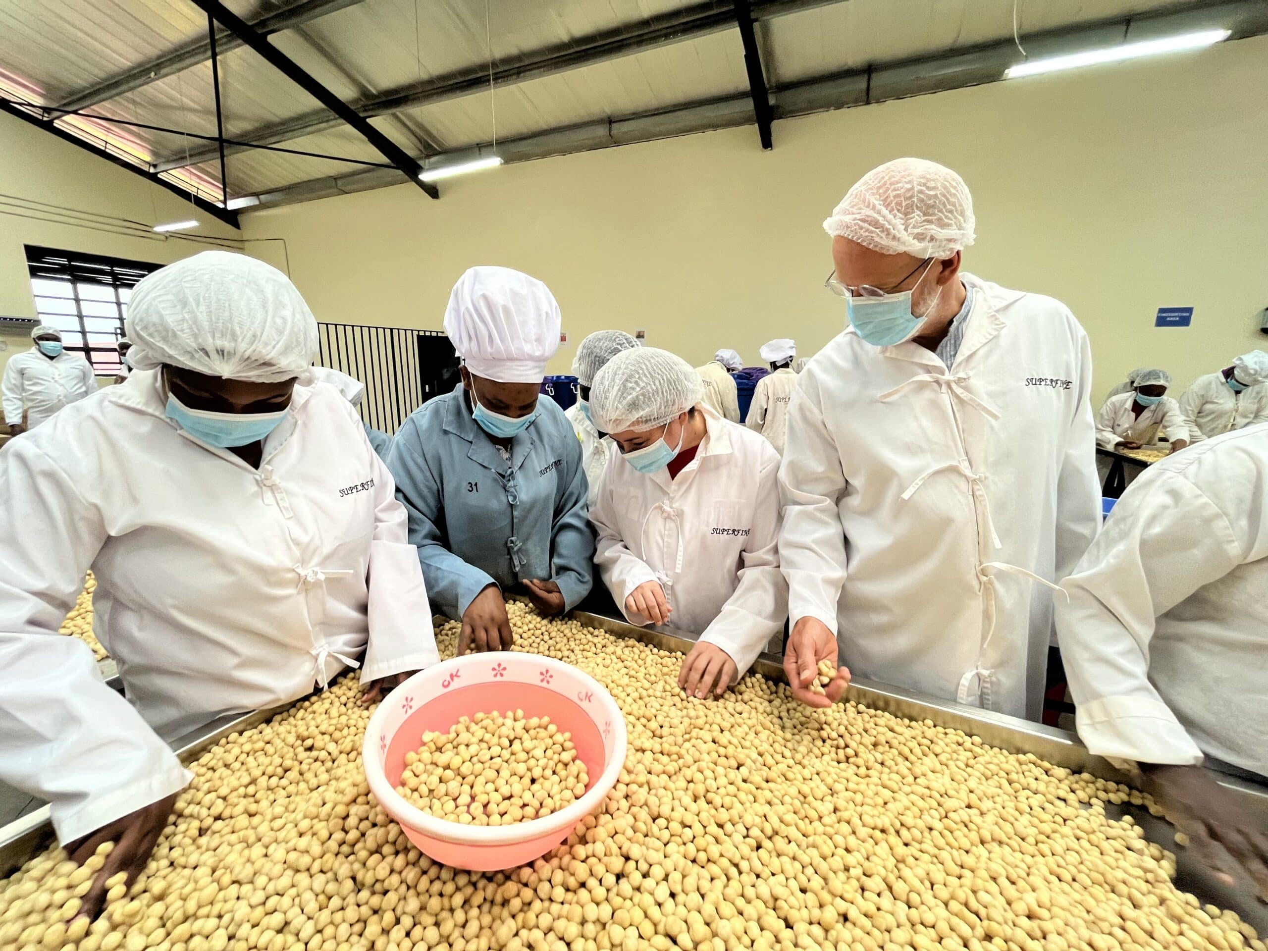 A Journey Into the Heart of Kenya’s Macadamia-Processing Region