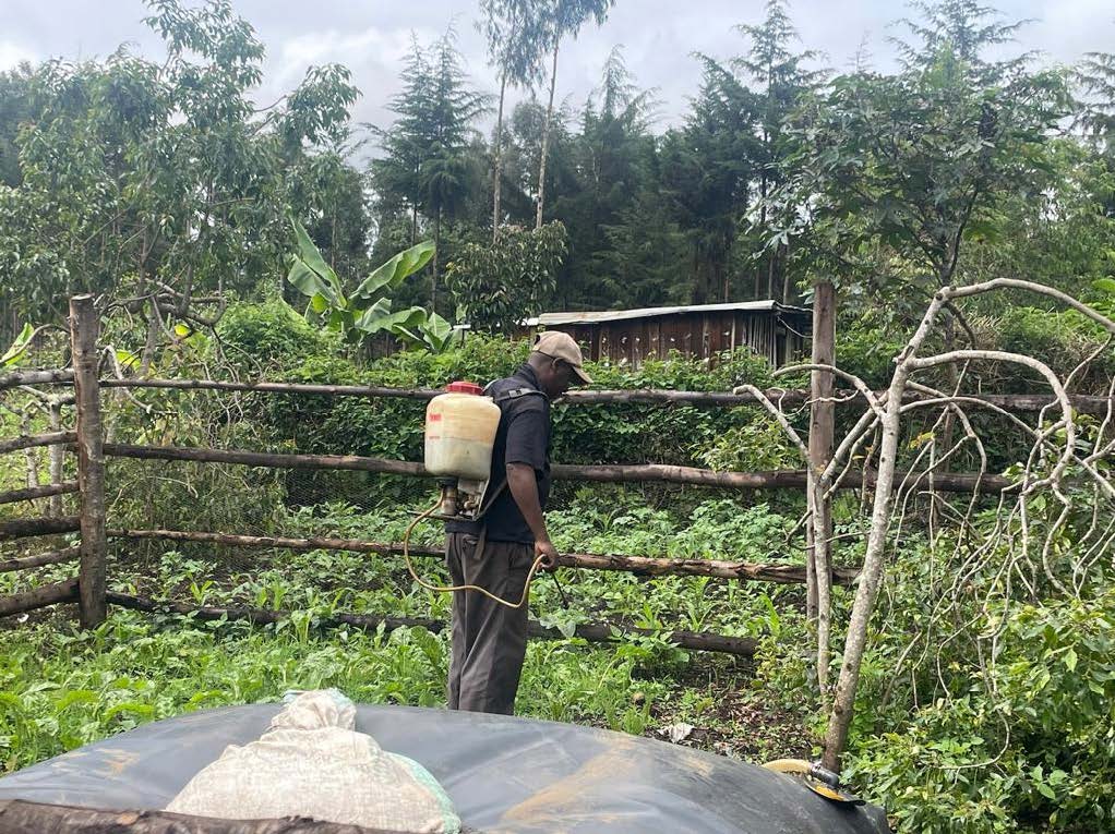 Biodigestores: Convirtiendo los residuos en energía limpia en África Oriental