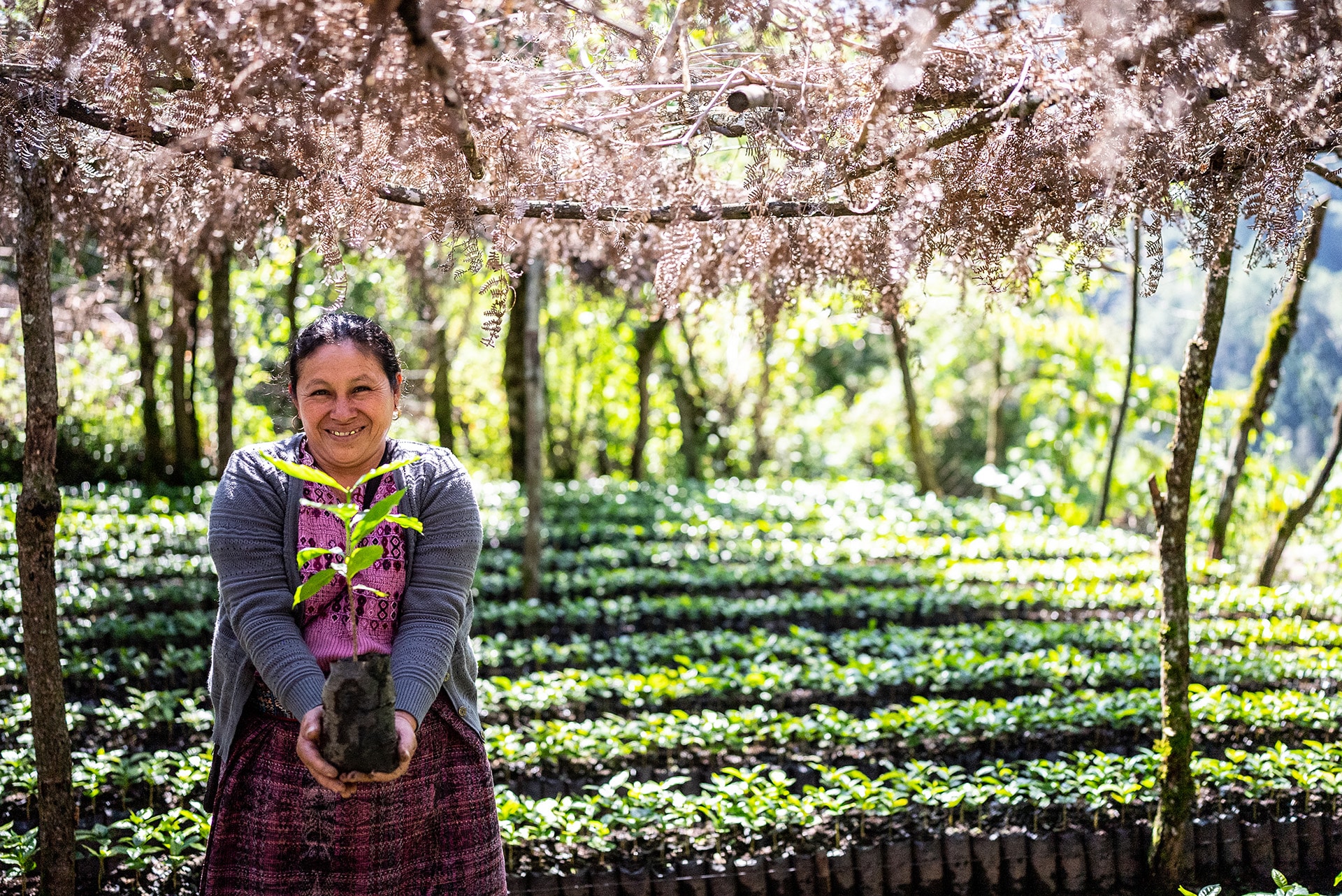 Una productora muestra orgullosa sus cultivos en Barillas, Guatemala.