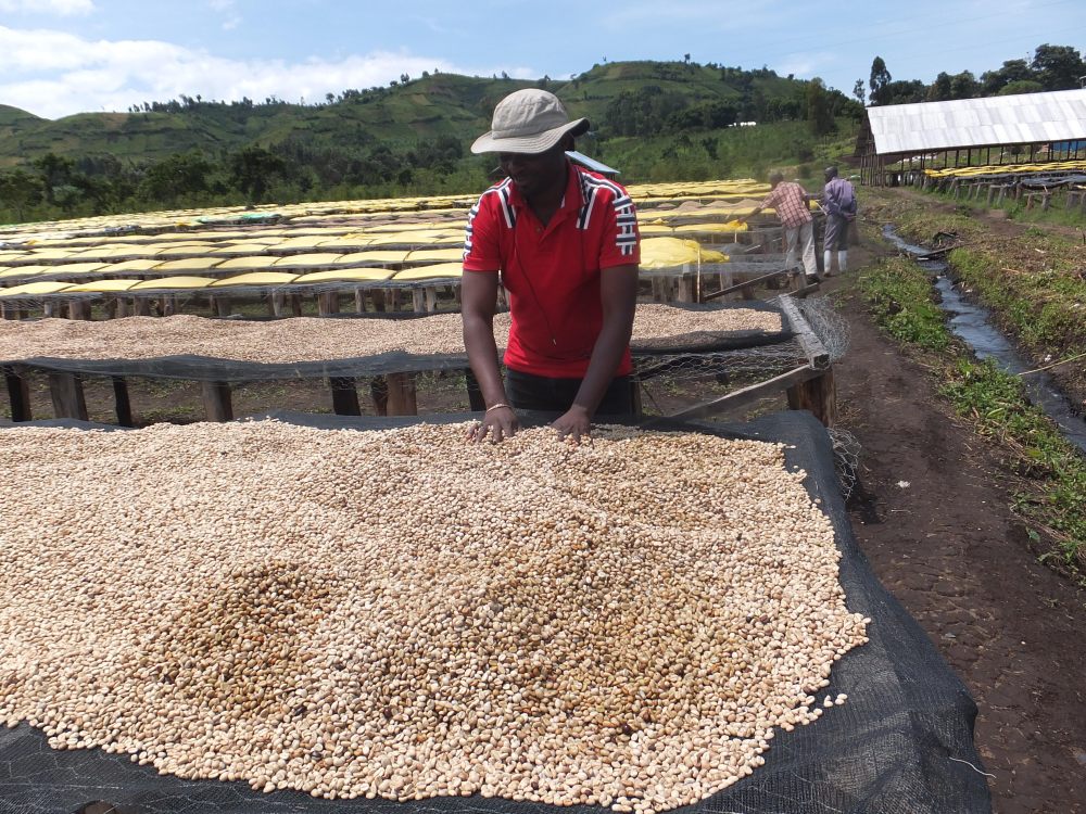 Drying Bed at SOPACDI