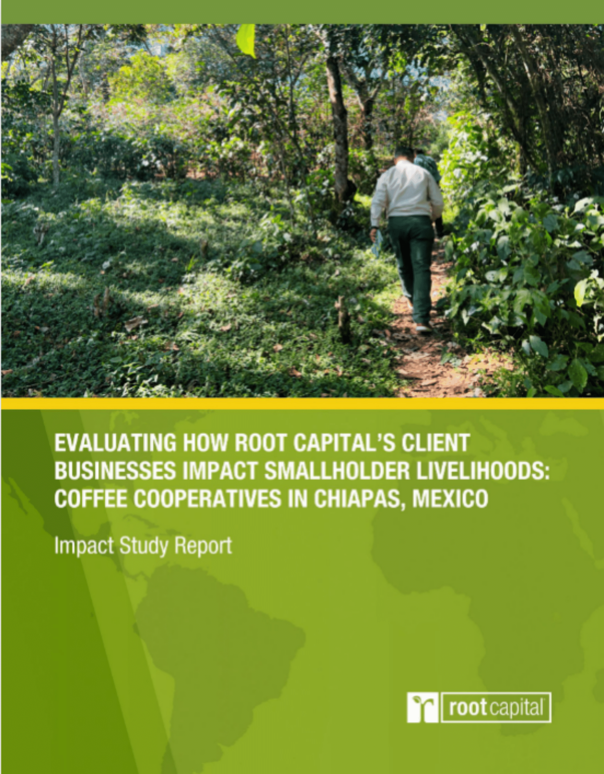 Evaluating How Root Capital’s Client Businesses Impact Smallholder Livelihoods: Coffee Cooperatives in Chiapas, Mexico