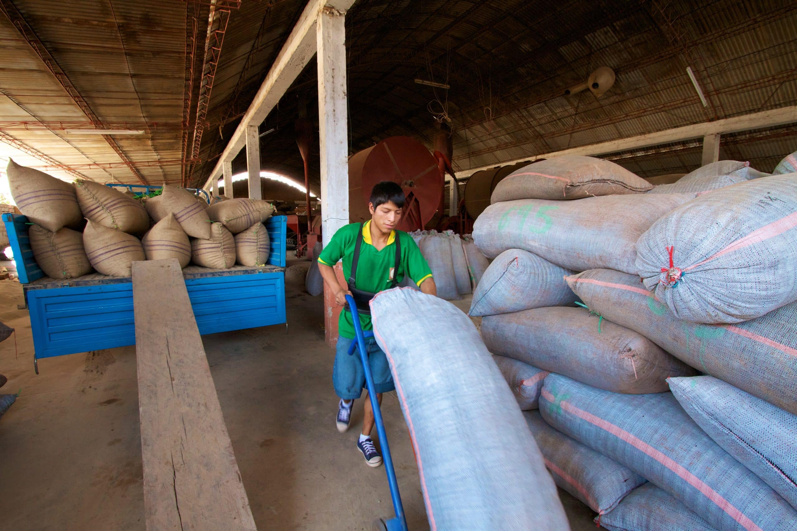 Coffee Processing Drying