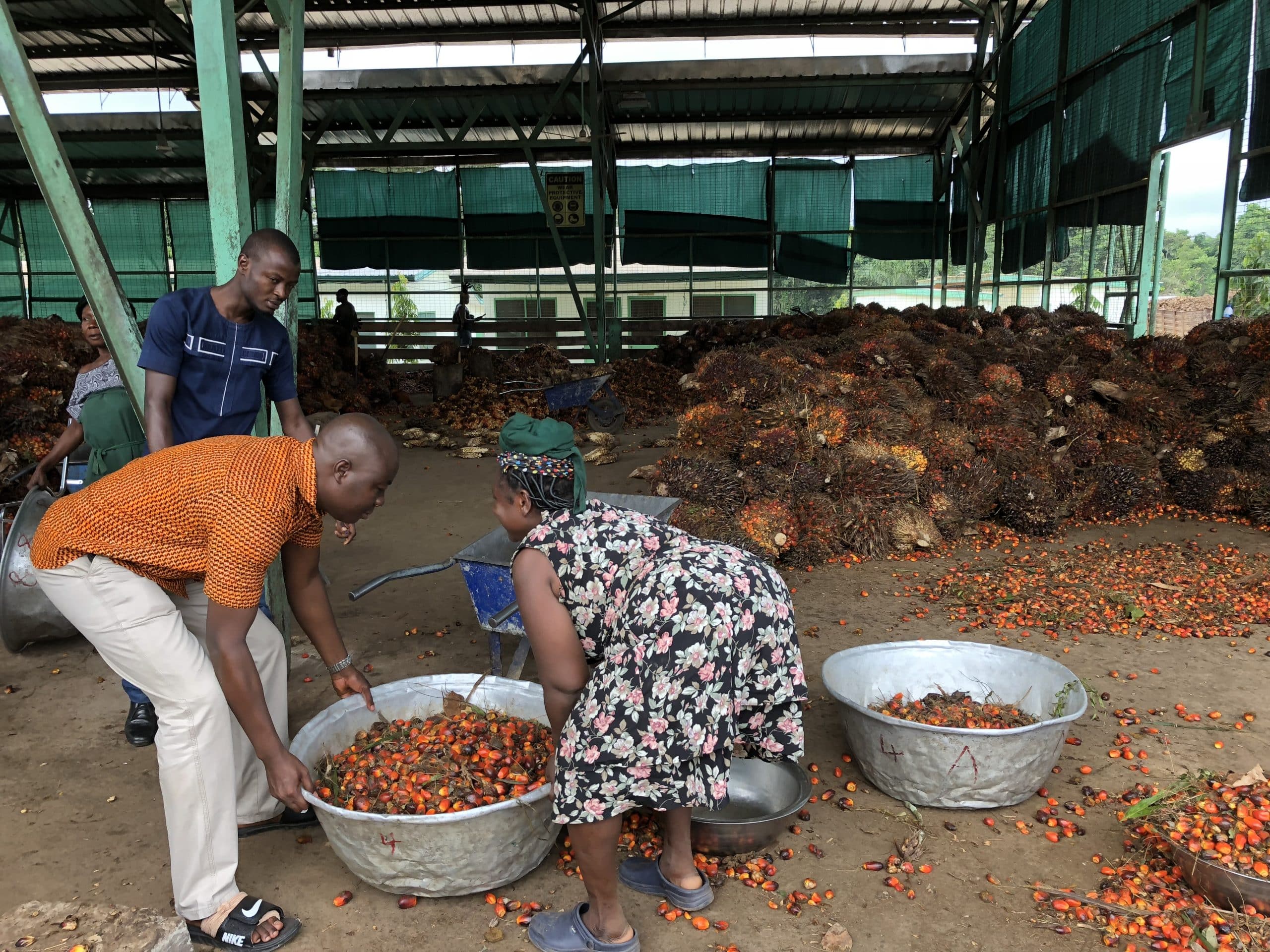 Root Capital partnership manager Francis Opoku-Mensah with Serendipalm employees.